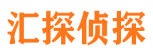 龙游侦探公司